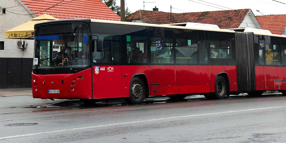 autobus-703-batajnica