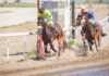 Hipodrom, galopski trkački dan, 11. jun 2023.