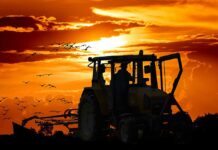 ALARMANTNO: Nestajanje polјoprivrede i stočarstva