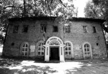 Tajne Doktorove kule-Dom s uma sišavših