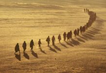 Odlazak iz Srbije: Da li je to bežanje ili potraga za boljim životom?