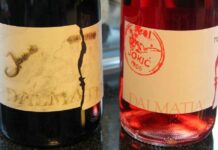 Vina iz kamena i porodica kao temelj