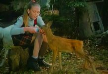 100 najuticajnijih filmova zasnovanih na stvarnim događajima