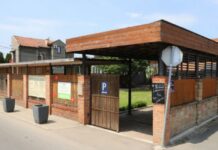 Jedno dvorište u Borči simbol je održivosti i umetnosti