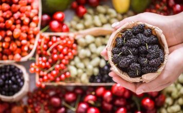 Antioksidansi: šta su, kako deluju i zašto su važni za zdravlje