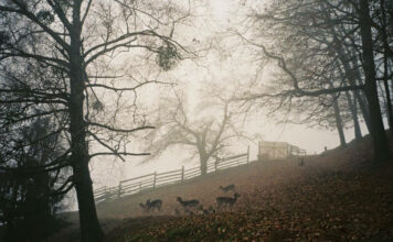 Jelenov greben, Slovenija – bajkovita vikend destinacija